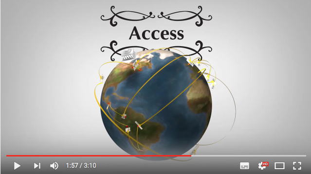 Screenshot Video mit Bildausschnitt Access